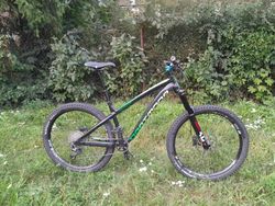 Dartmoor hornet v perfektním stavu