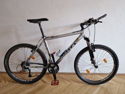 Kelly`s Magic Cross country 