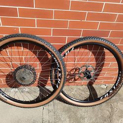 Remerx fast disc 29 TR