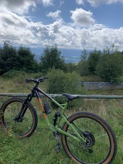 Marin Rift Zone 1