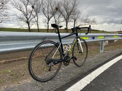 Specialized Allez 2019, vel. 54