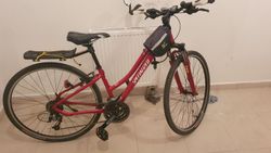 Specialized Ariel