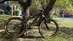 Santa Cruz Jackal