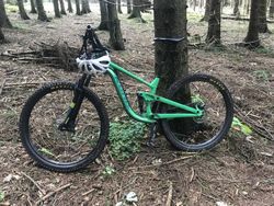 Kona Process 134 2020 29''