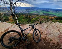 TREK Supercaliber 9.8 GX, XL, Matte Raw Carbon/Gloss Trek Black, model 2021