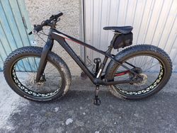 Specialized fatboy carbon