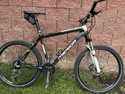 Merida Carbon FLX 1000