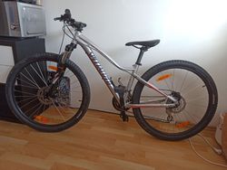 Specialized Jynx vel. S 