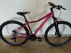 Maxbike 29 lady