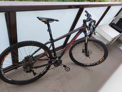 Bottecchia GAVIA ALU 29