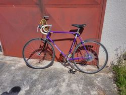 Favorit po renovaci