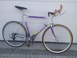 Favorit passat