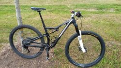 Specialized Stumpjumper FSR Elite 29