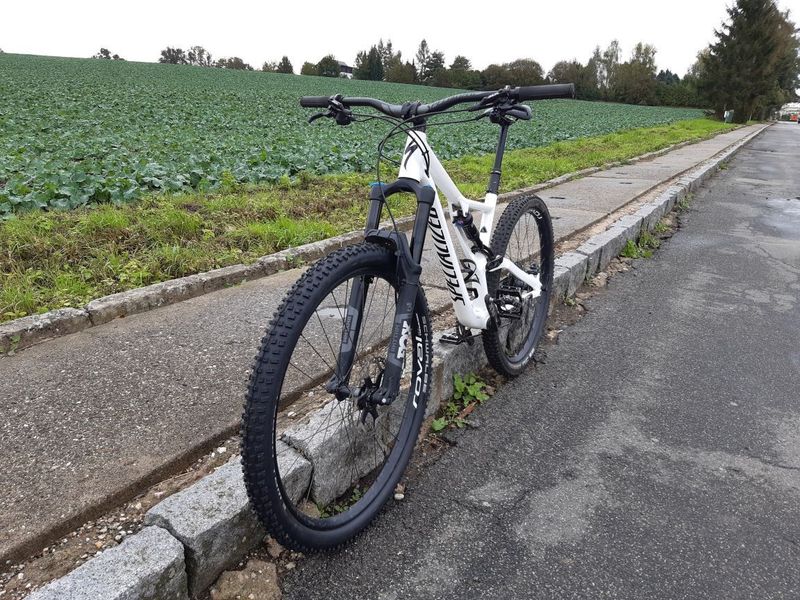 Stumpjumper lt 2019 new arrivals
