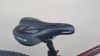SPECIALIZED pro 150 - 170 cm