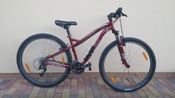 SPECIALIZED pro 150 - 170 cm