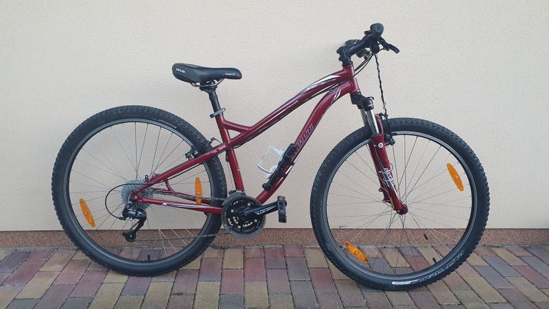 SPECIALIZED pro 150 - 170 cm