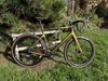 Cervélo Aspero vel.58 olive gold /sram force axs