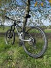 MONDRAKER - Foxy 29 racing silver/black 