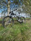 MONDRAKER - Foxy 29 racing silver/black 
