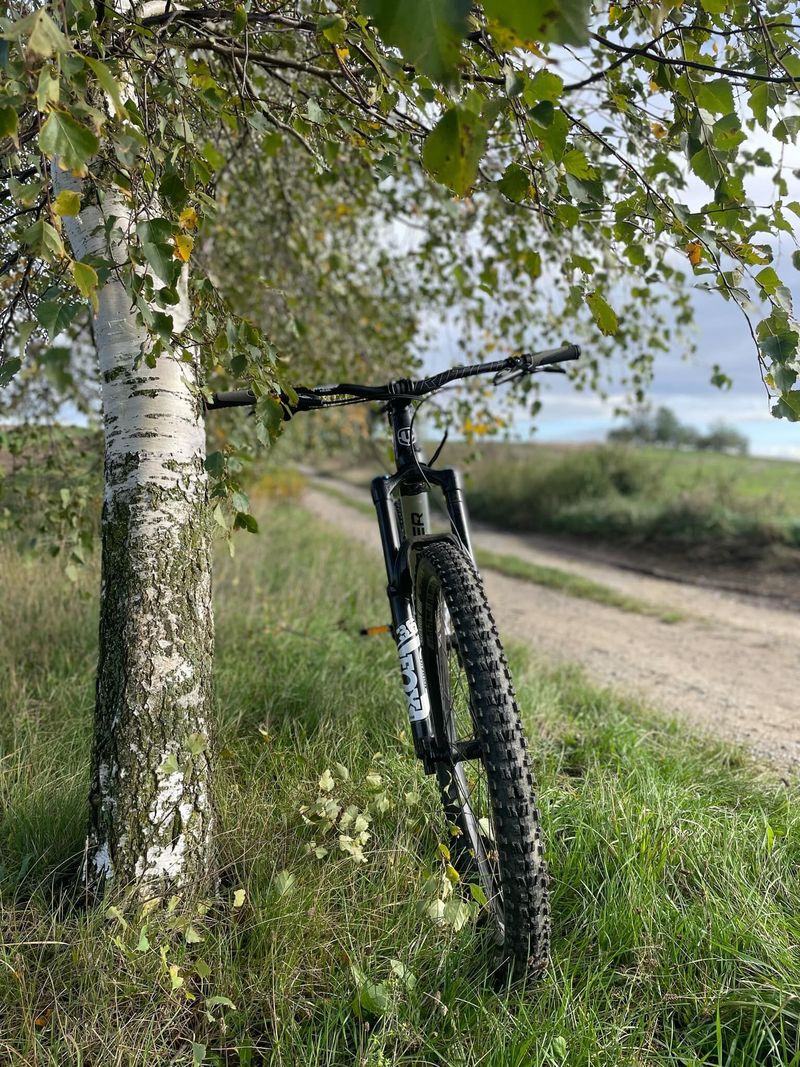 MONDRAKER - Foxy 29 racing silver/black 