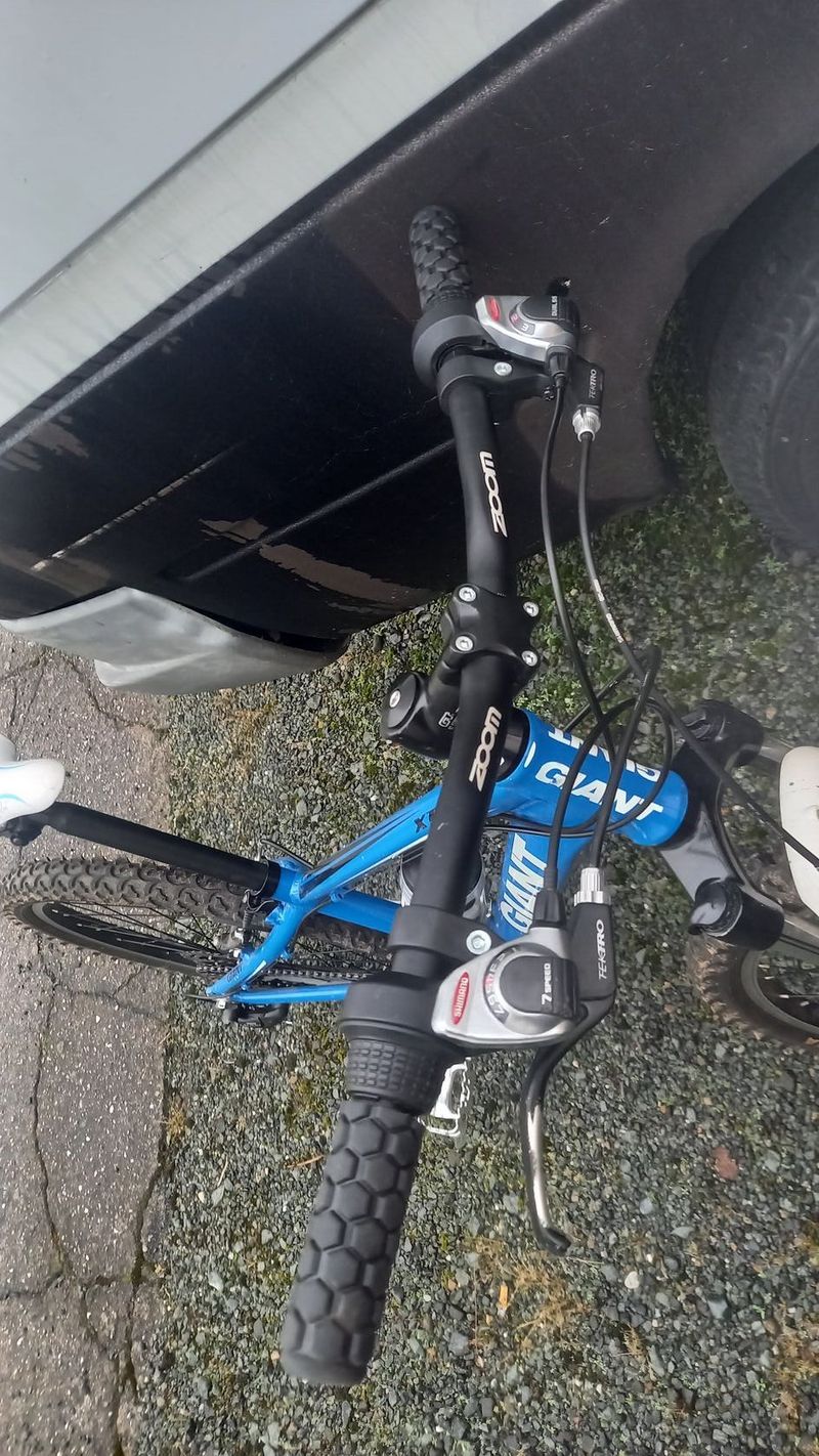 Horské kolo Giant XTC JR Team 24"