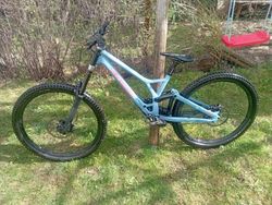 Specialized Demo Expert 29