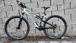 Specialized Epic Expert Carbon 29