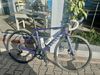 Canyon Ultimate CF SL 7 WMN Disc vel. S