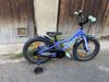 TREK Precaliber 16"