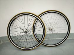 Campagnolo Veloce, Fir