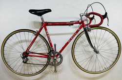 De Rosa Professional 1977