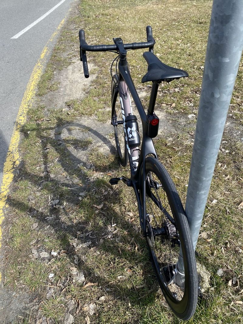 Giant TCR 2021