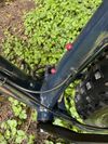 Trek farley 5