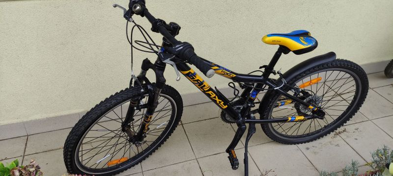 Kolo Galaxy Pavo 24 2015