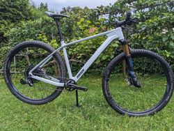 Radon JEALOUS 9.0