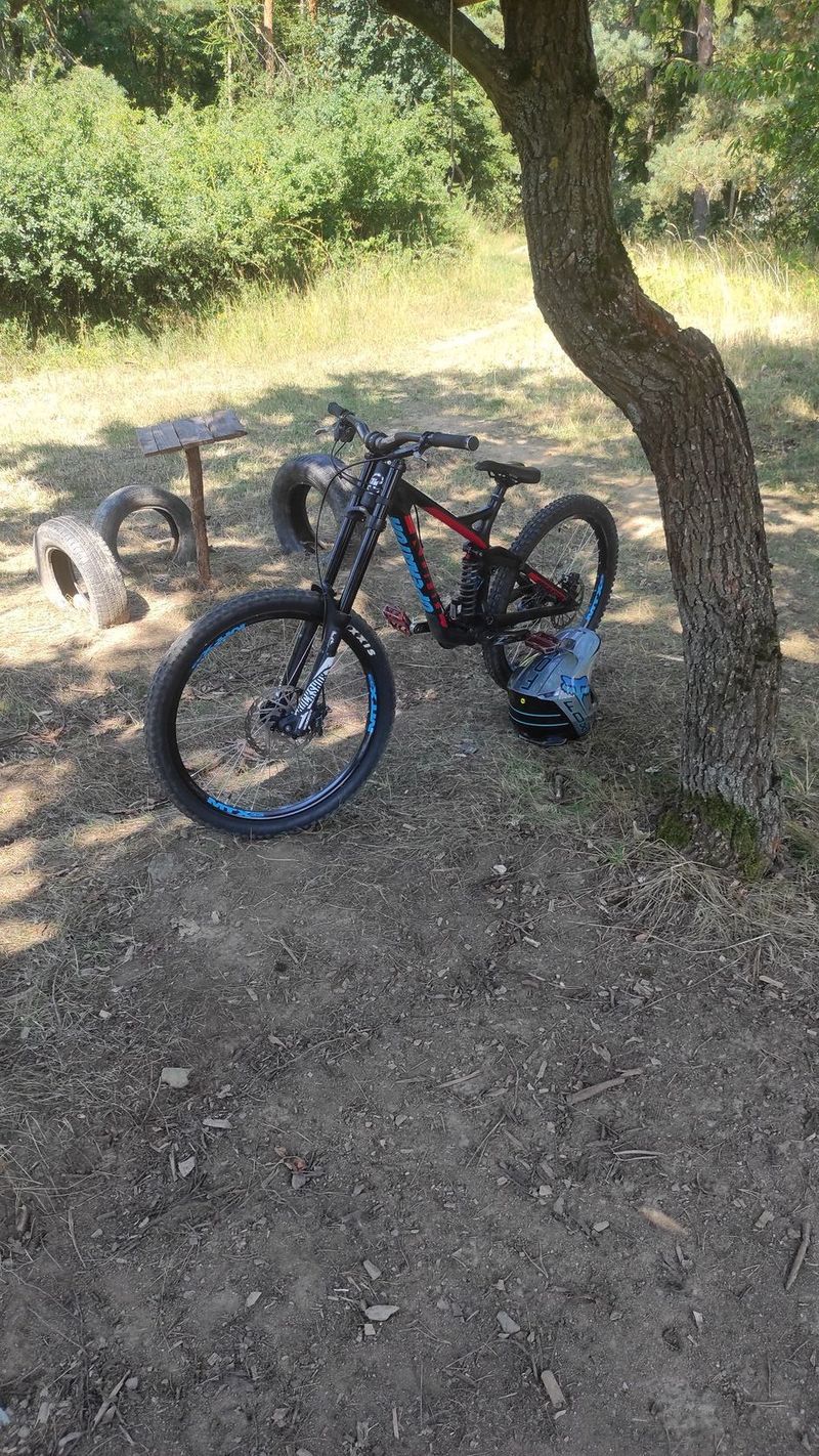 Prodám DH kolo kona operátor 