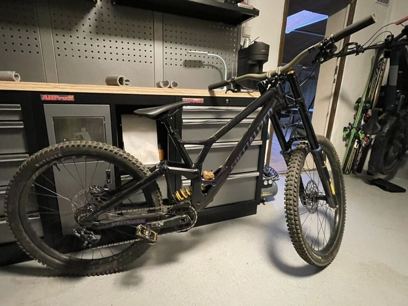 Specialized Demo Race