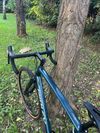 Ridley Kenzo GRX 