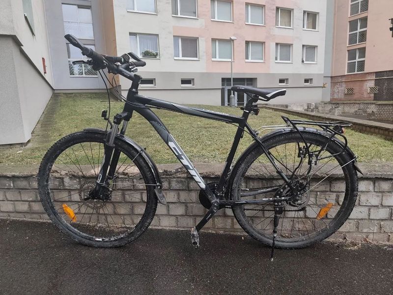CTM REIN 3.0