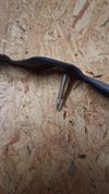 Duše Schwalbe Extralight 40/62-584/635