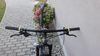 NOVÉ MTB MAXBIKE M709