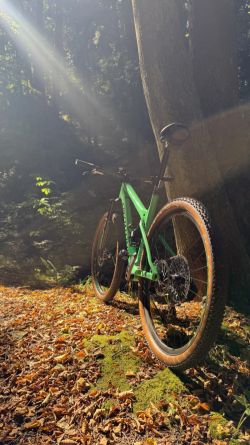 Specialized Epic WC