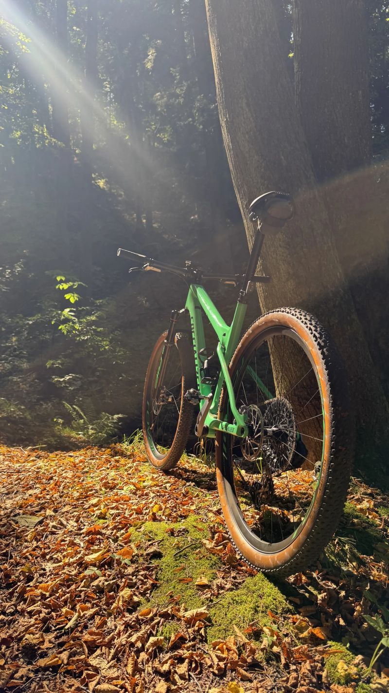 Specialized Epic WC