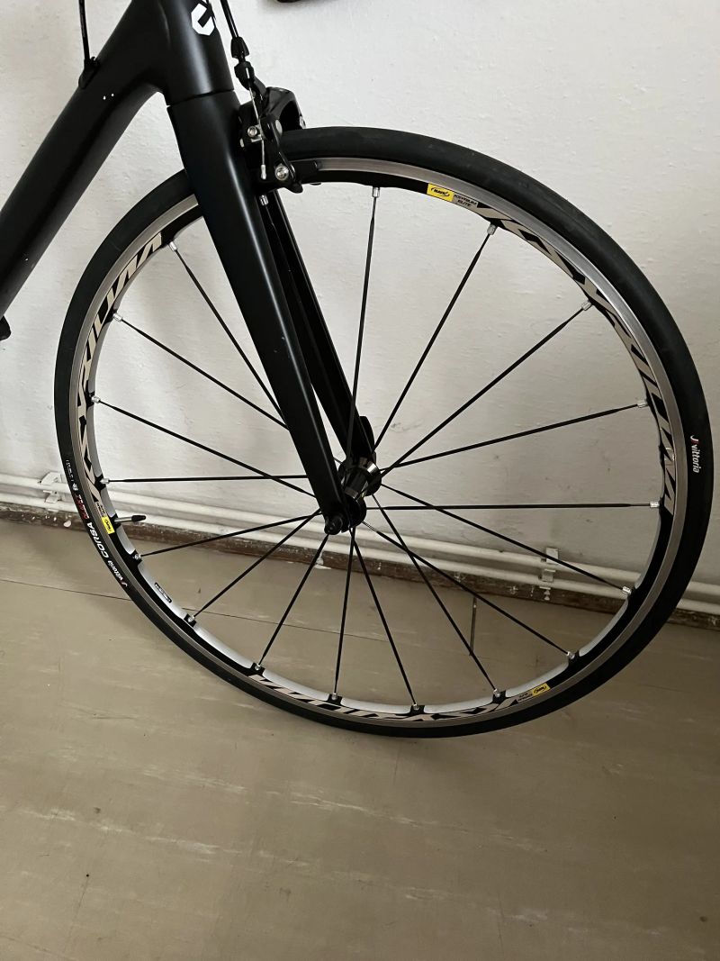 CTM Blade