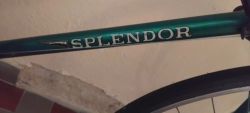 Favorit SPLENDOR