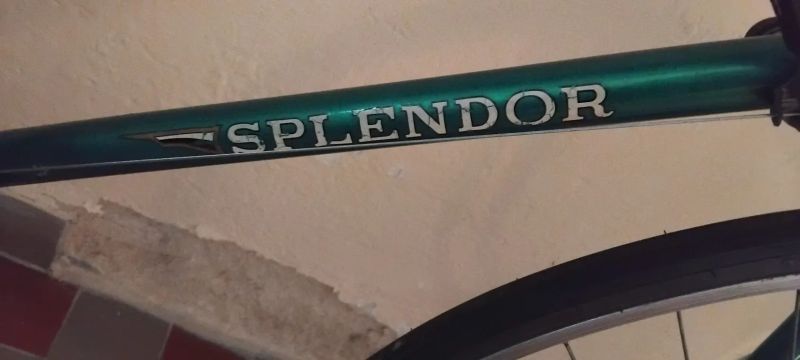 Favorit SPLENDOR