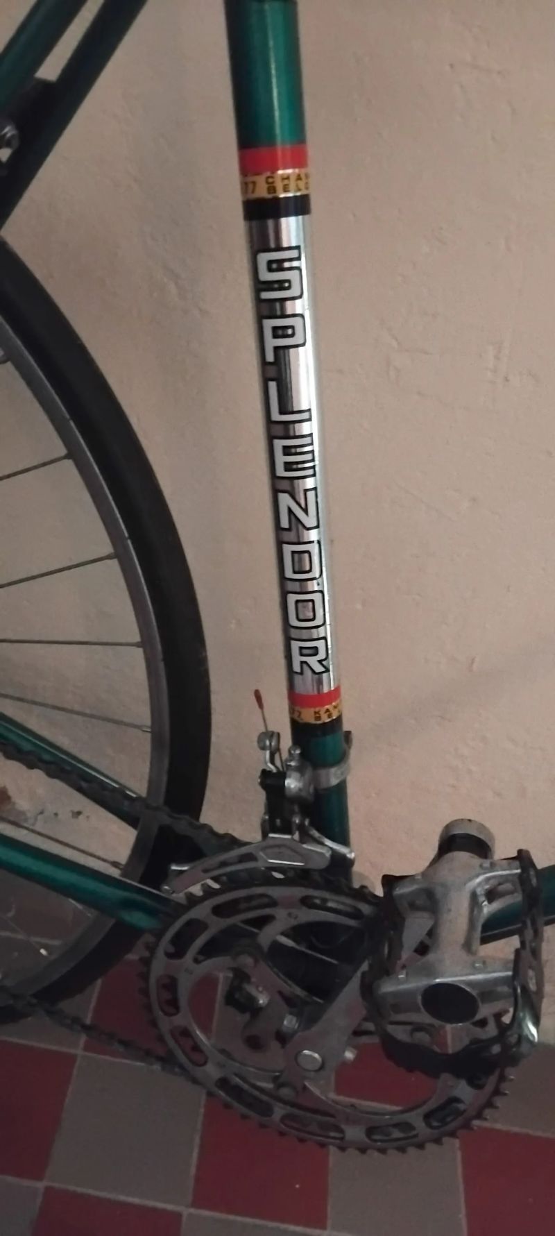 Favorit SPLENDOR
