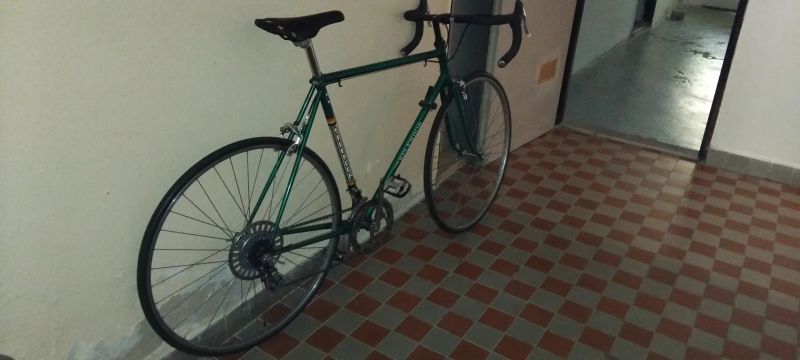 Favorit SPLENDOR