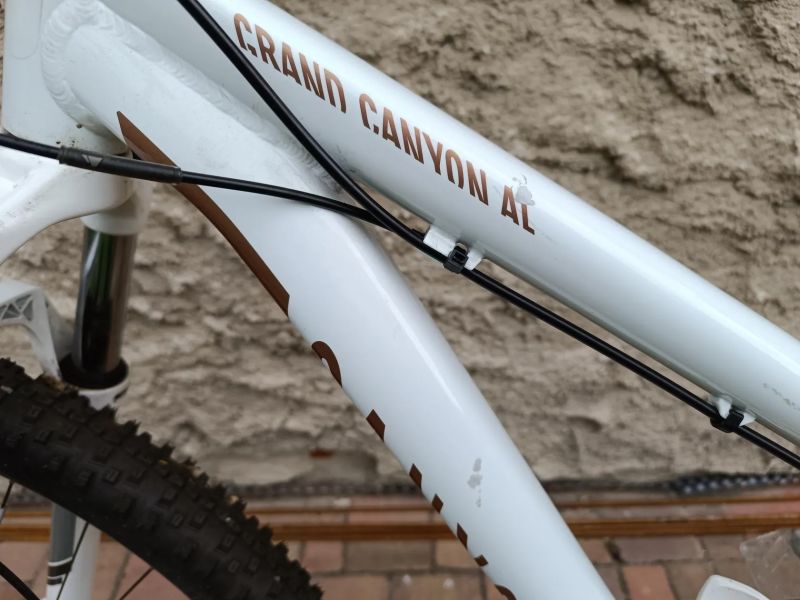 Canyon Grand Canyon AL 3.9 WMN